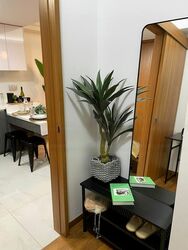 Watertown (D19), Apartment #458621561